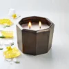 Octagonal Ceramic Salted Honey Fall Jar Candle Metallic Bronze - Hearth & Hand™ With Magnolia -Hearth & Hand With Magnolia GUEST 2fcc69cf cd0c 4a55 bdf2 33608bd3235b